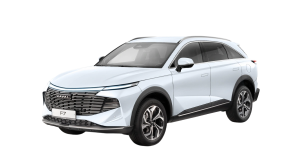 Эва-коврики на Haval F7 II 2024- 4wd